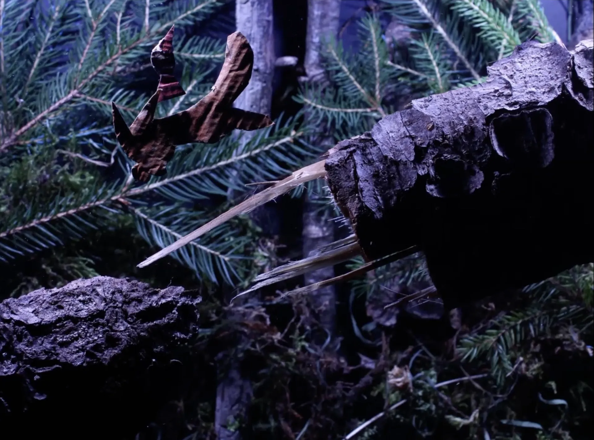 Jablodružství — záběr 2