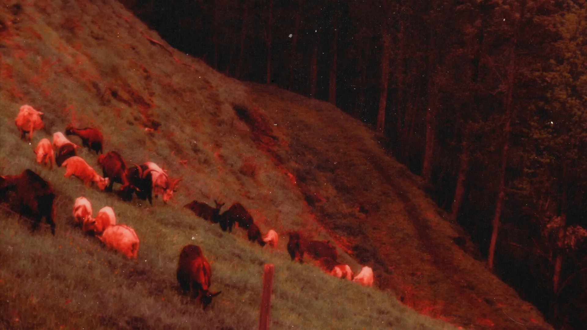 K-1997/64 — záběr 5