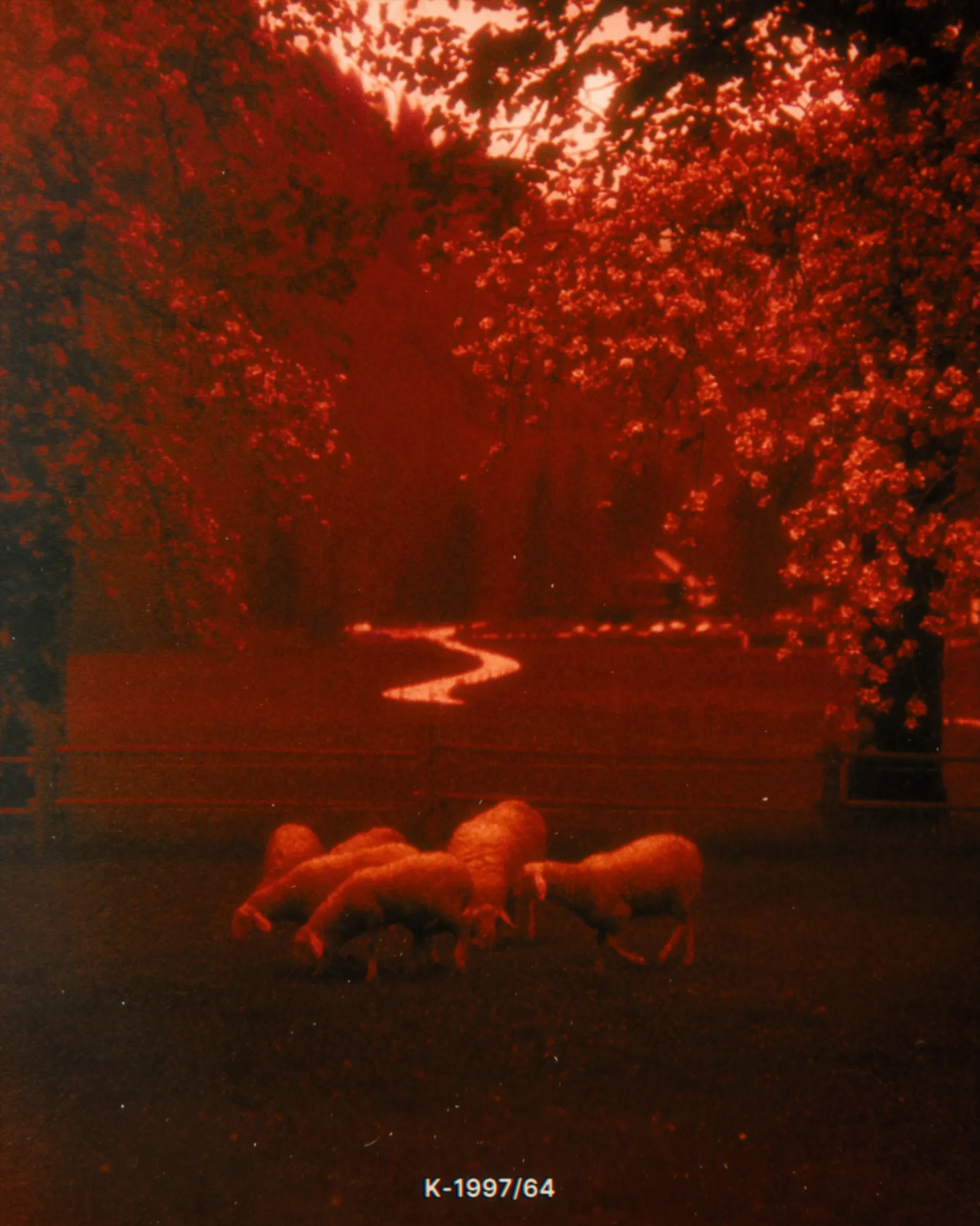 K-1997/64 — záběr 7