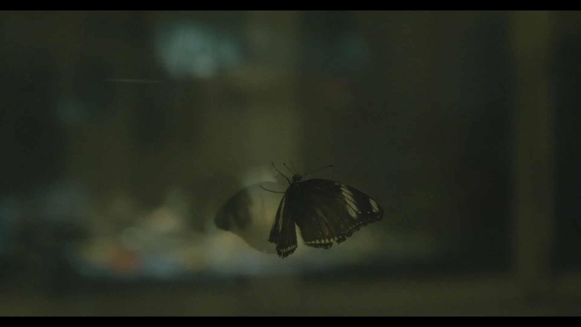 Lanfren-lanfra — záběr 1