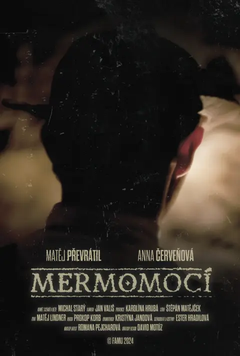 Mermomocí