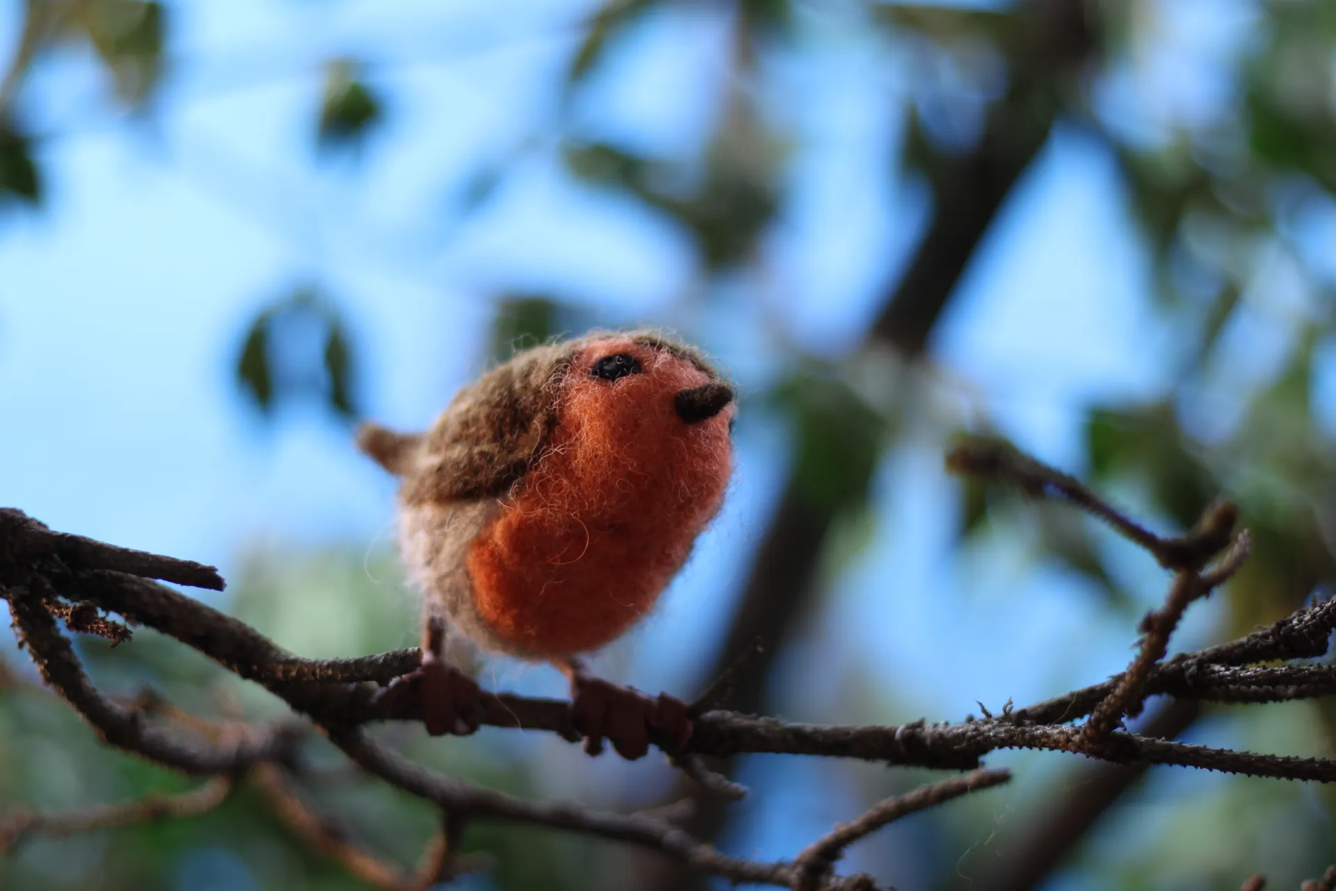 Myslivec Masíčko — záběr 2