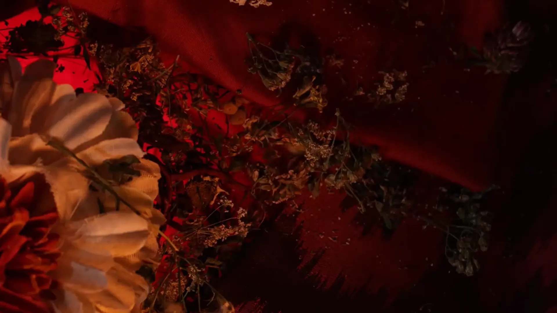 Thanato — záběr 3