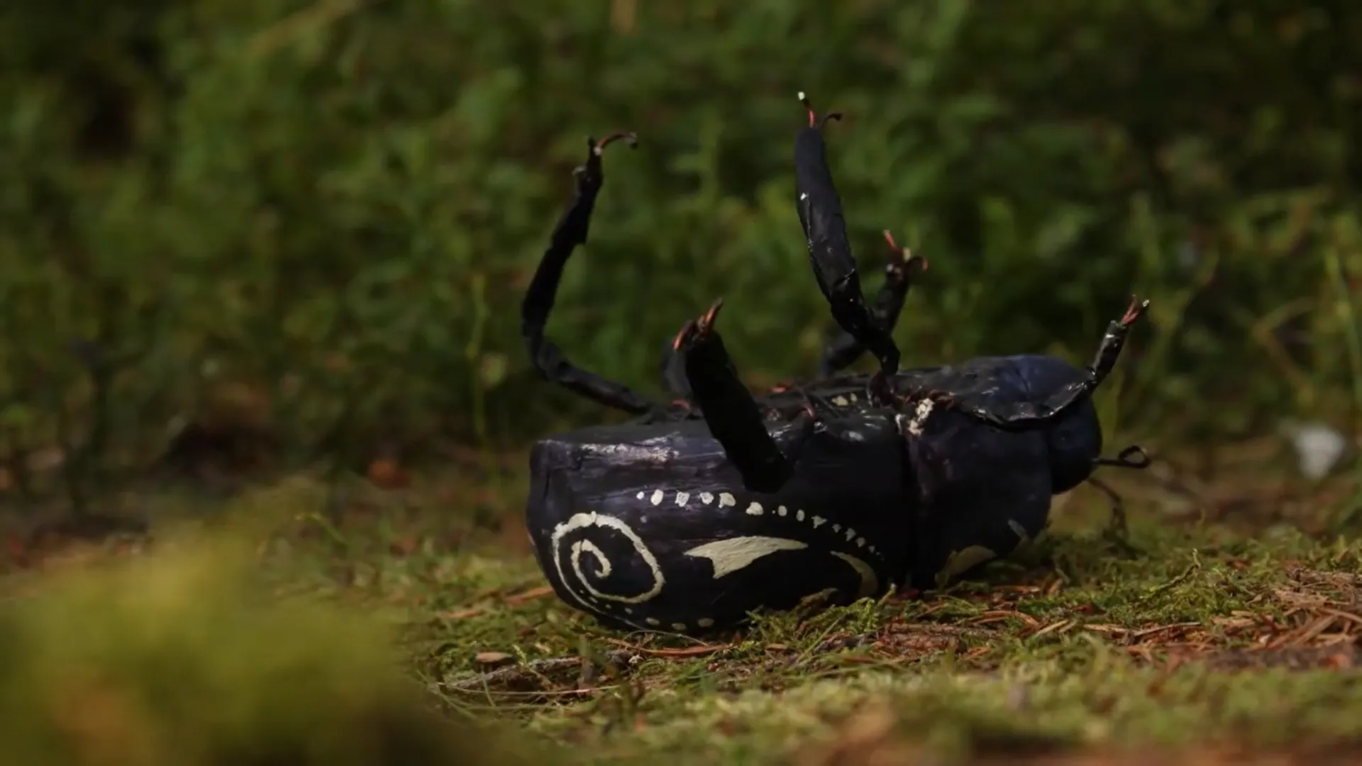 Thanato — záběr 6